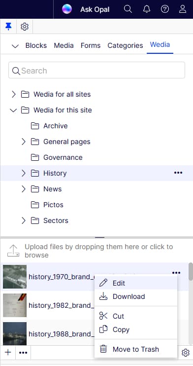 The whole thing in action: a dedicated Wedia tab with dedicated "For This ..." folders that display all of the content items created after picking assets from Wedia