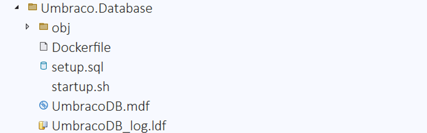 Folder structure of the database