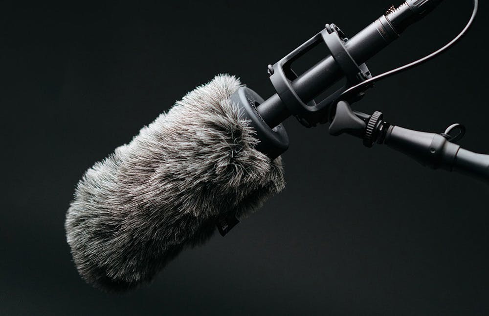 A hyper-cardioid microphone covered in a windshield